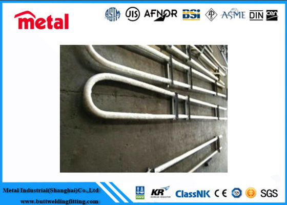 Έξω διάμετρος 3 «υλικό σωλήνων ASTM UNS S31803 πτερυγίων του U για τον ανταλλάκτη θερμότητας