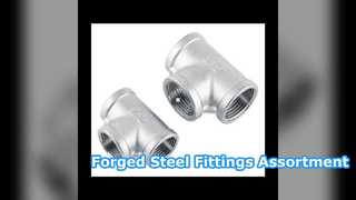 Σφυρήλατο ατσάλι εξαρτήματα Tee Reducer Ebow Flange